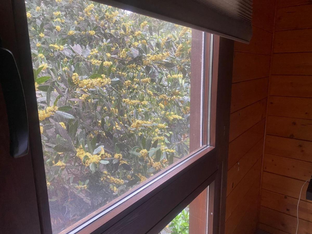 Apartamentos El Bosquet Sant Cugat del Vallès Buitenkant foto